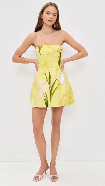Golden Meadow Mini Dress